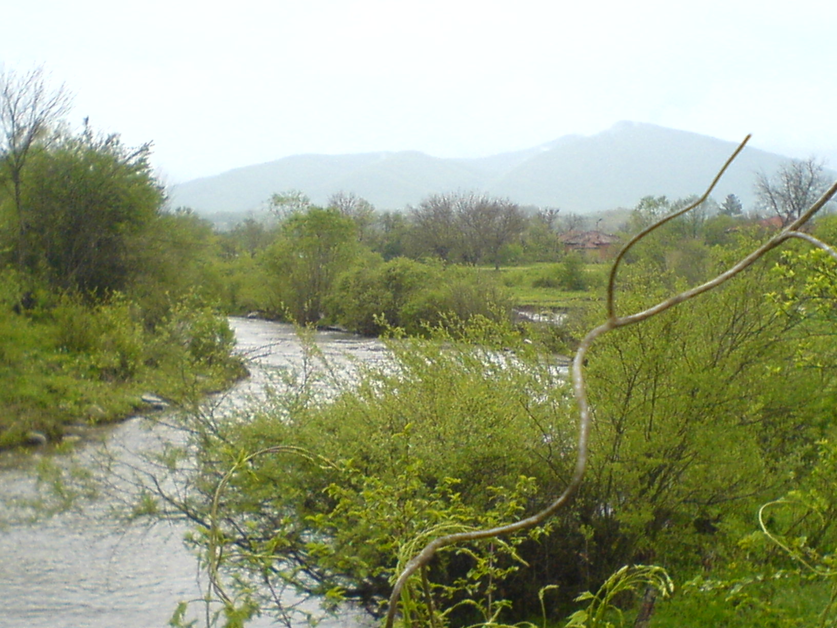 Продавам къща в село Чакали, общ. Елена