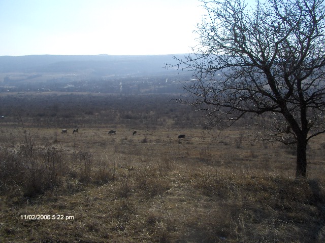 Земеделска земя в Осеново