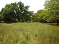 A village house with a large garden for sale