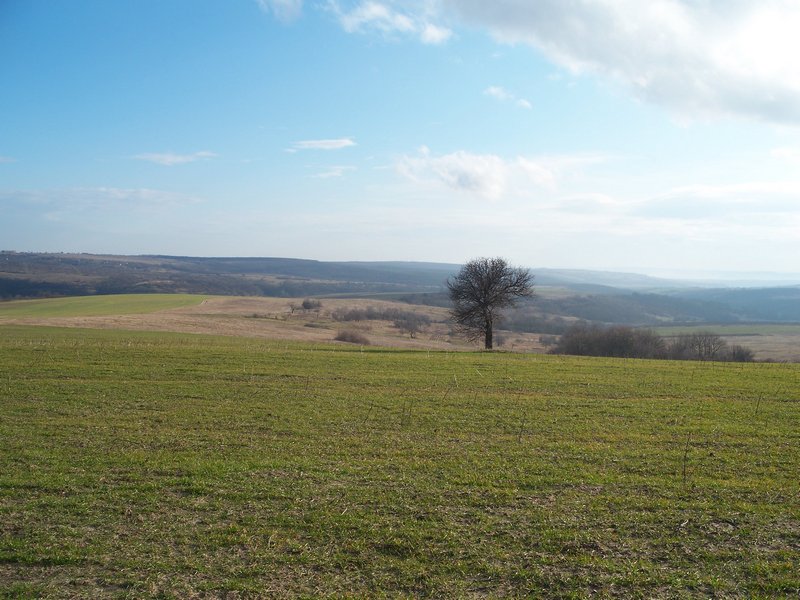 Продавам парцел в село Здравец