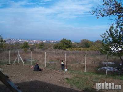 УПИ  в  Царево