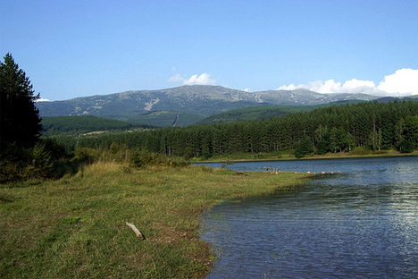 Парцел в село Сопот обл. Ловеч