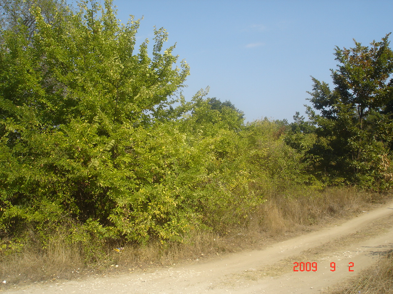 Парцел гр.Варна ,кв. Галата ,местност Прибой-Фичоза