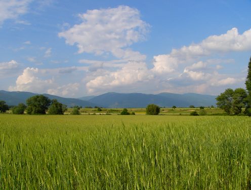 продавам земеделска земя