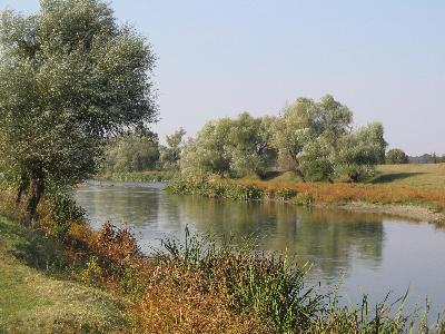 Къща с двор за живеене и бизнес  в с.Тенево,Ямболско