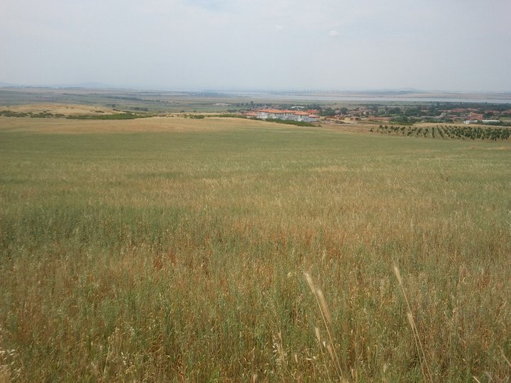 Bulgaria, village Rudnik, near to city Bourgas and Black sea. A plot of land 1007 square meters, with view at airport 