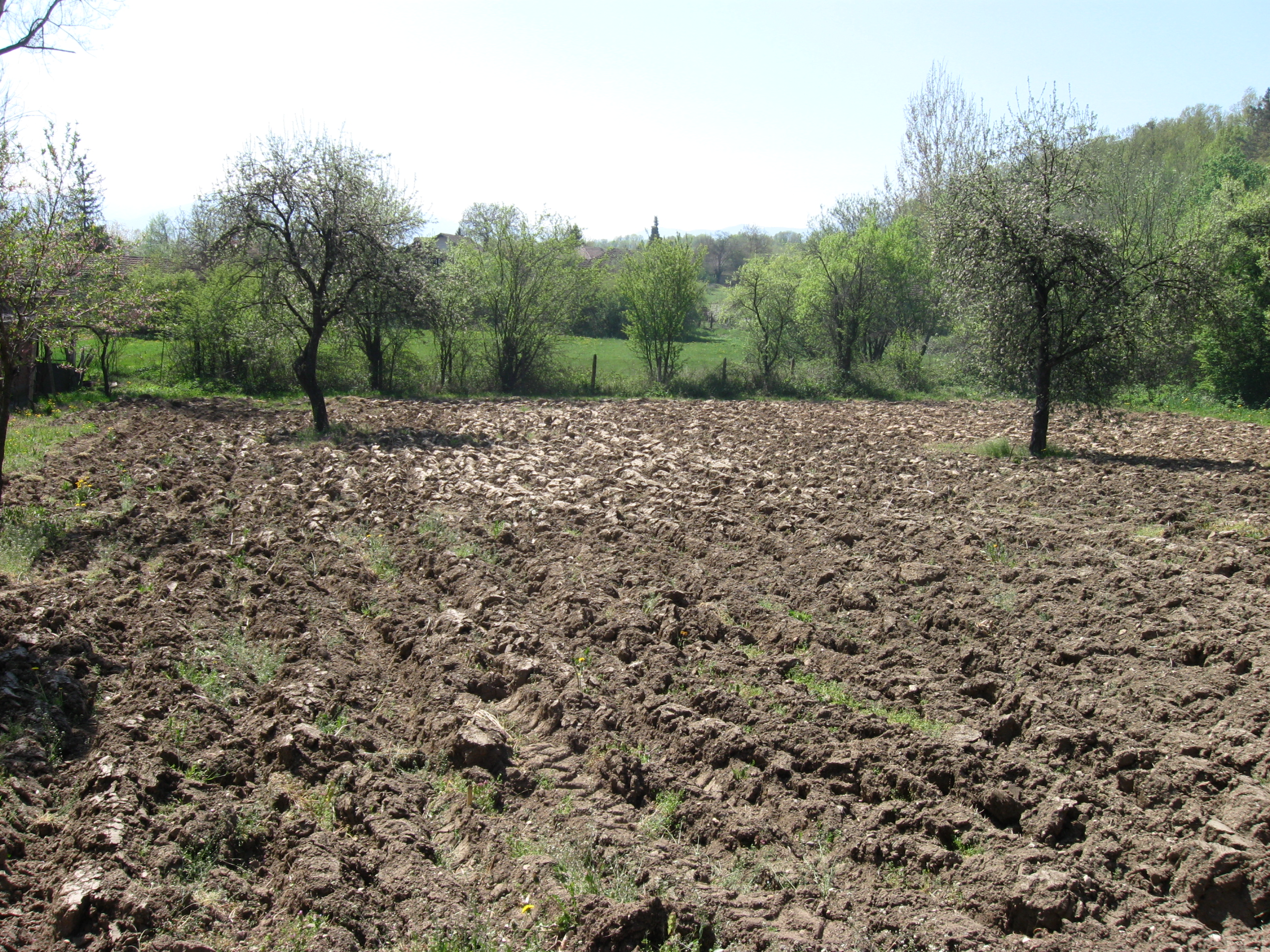 Продава Къща в село Боровци