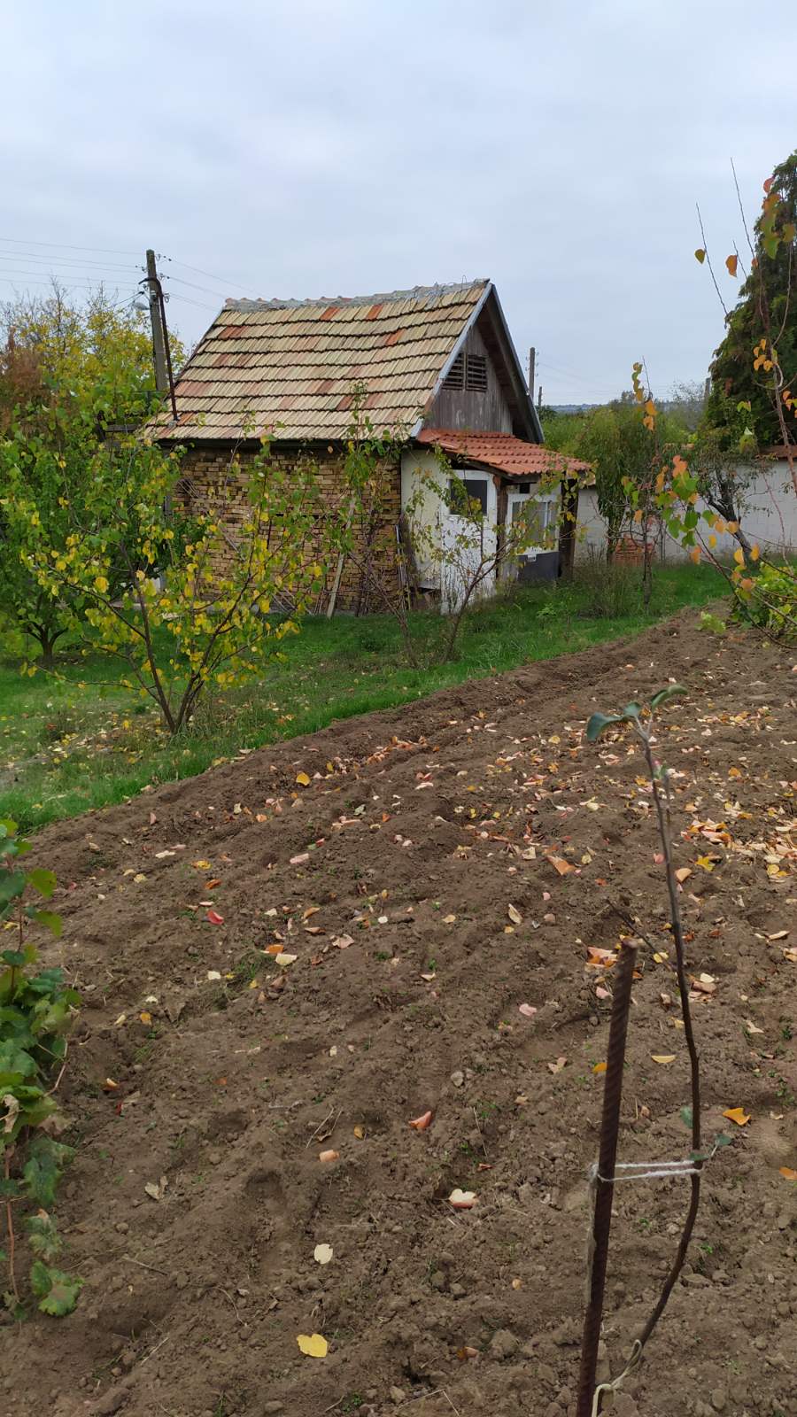 Продава Парцел в село Здравец, област Варна