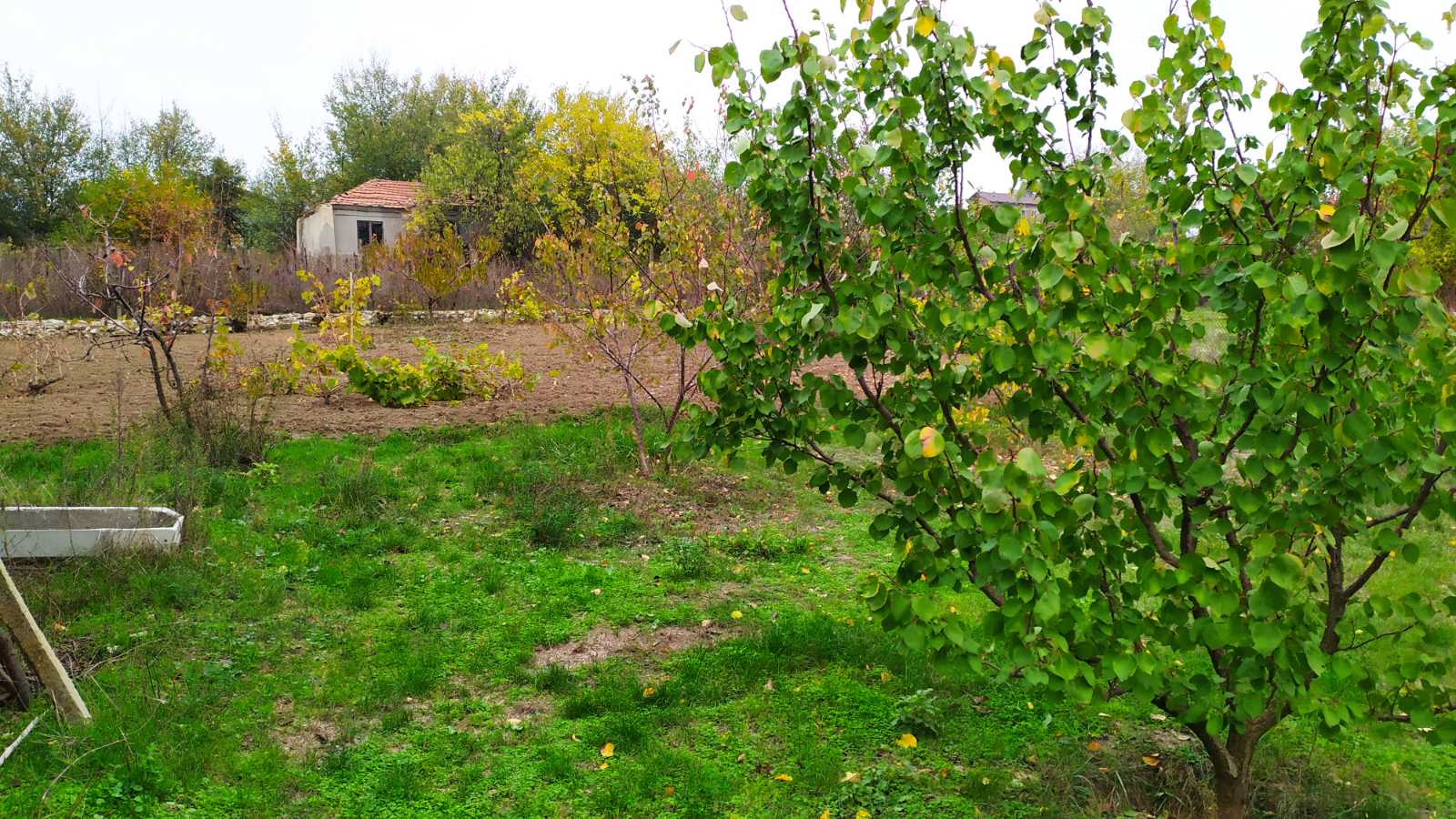 Продава Парцел в село Здравец, област Варна