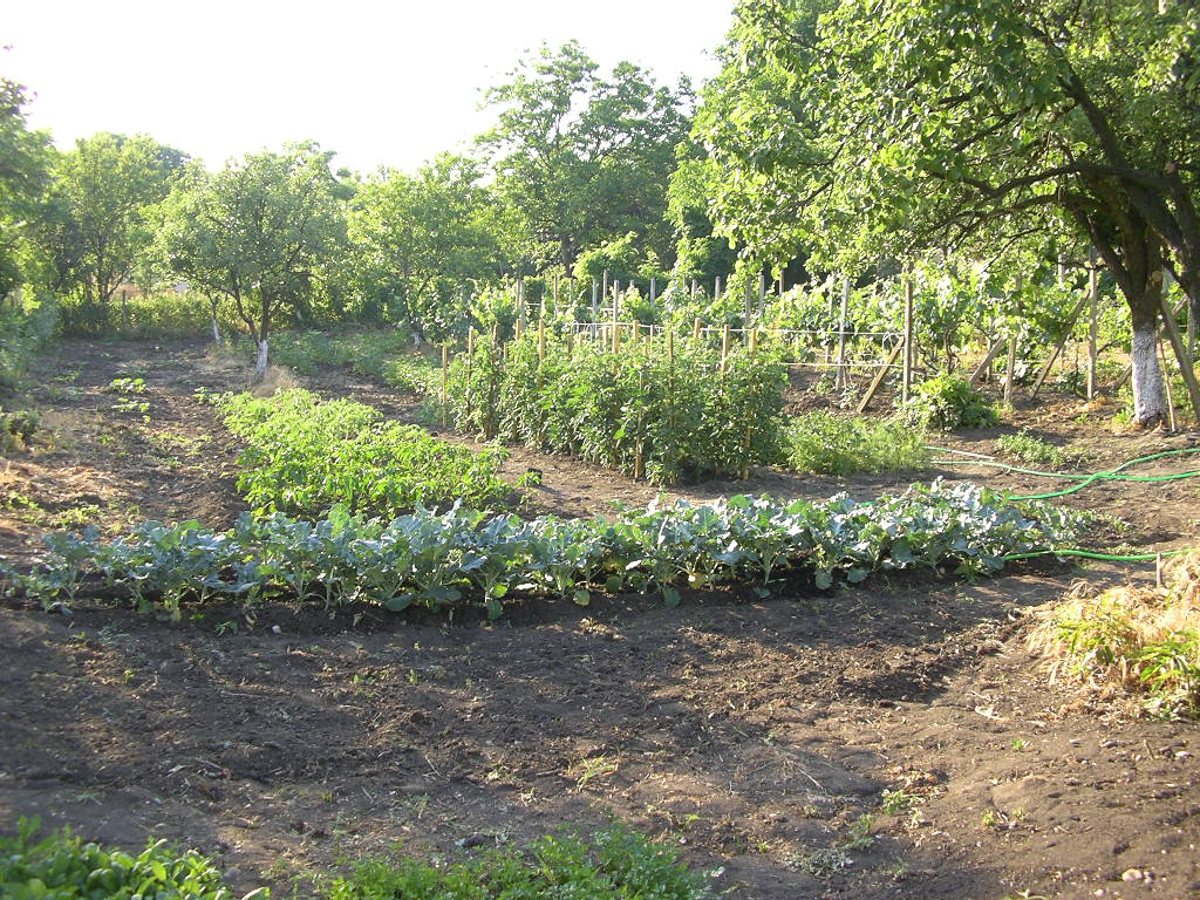 Продава Къща в село Люлин, област Ямбол