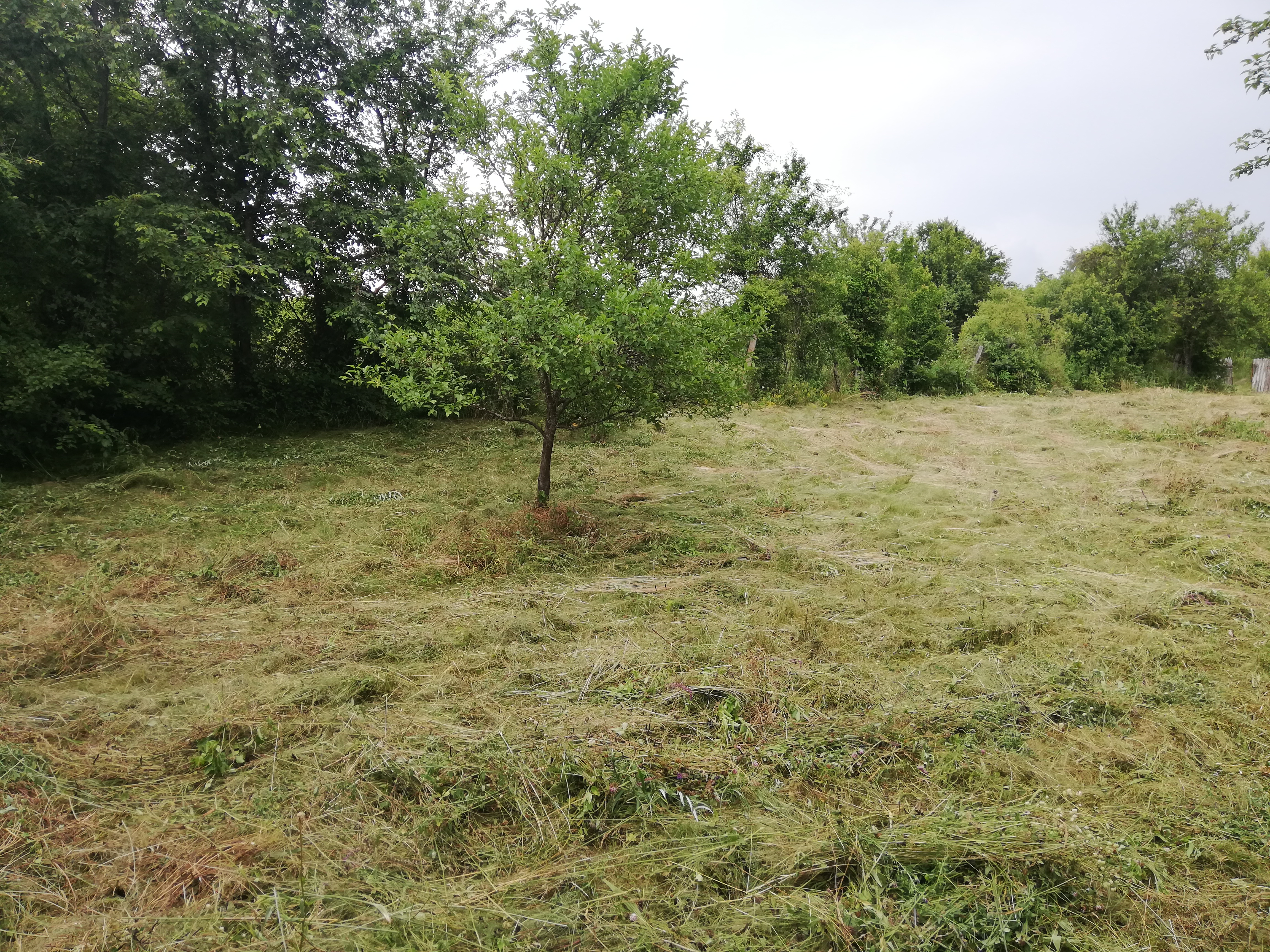 Продава Парцел в село Егълница, област Перник