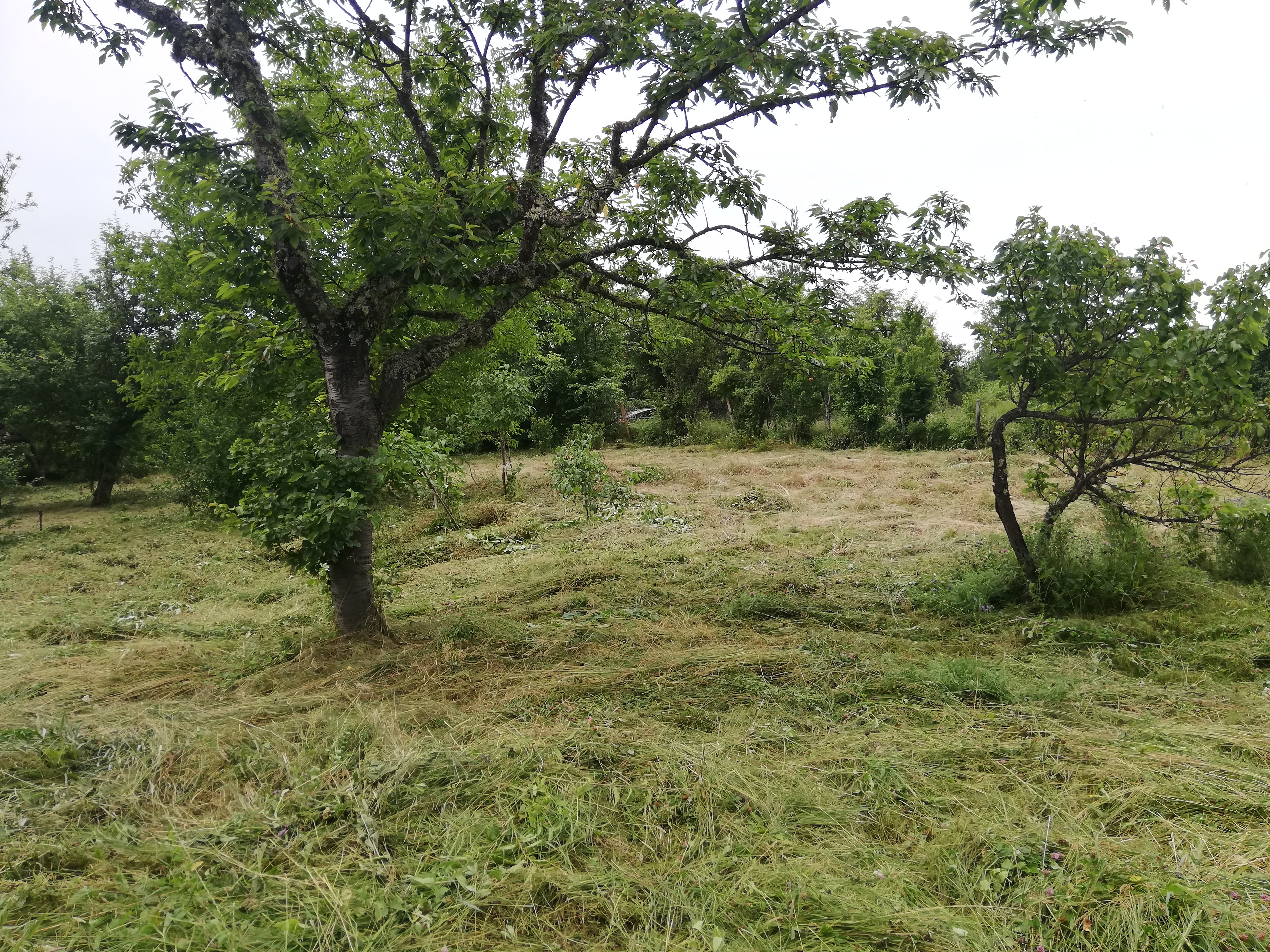 Продава Парцел в село Егълница, област Перник