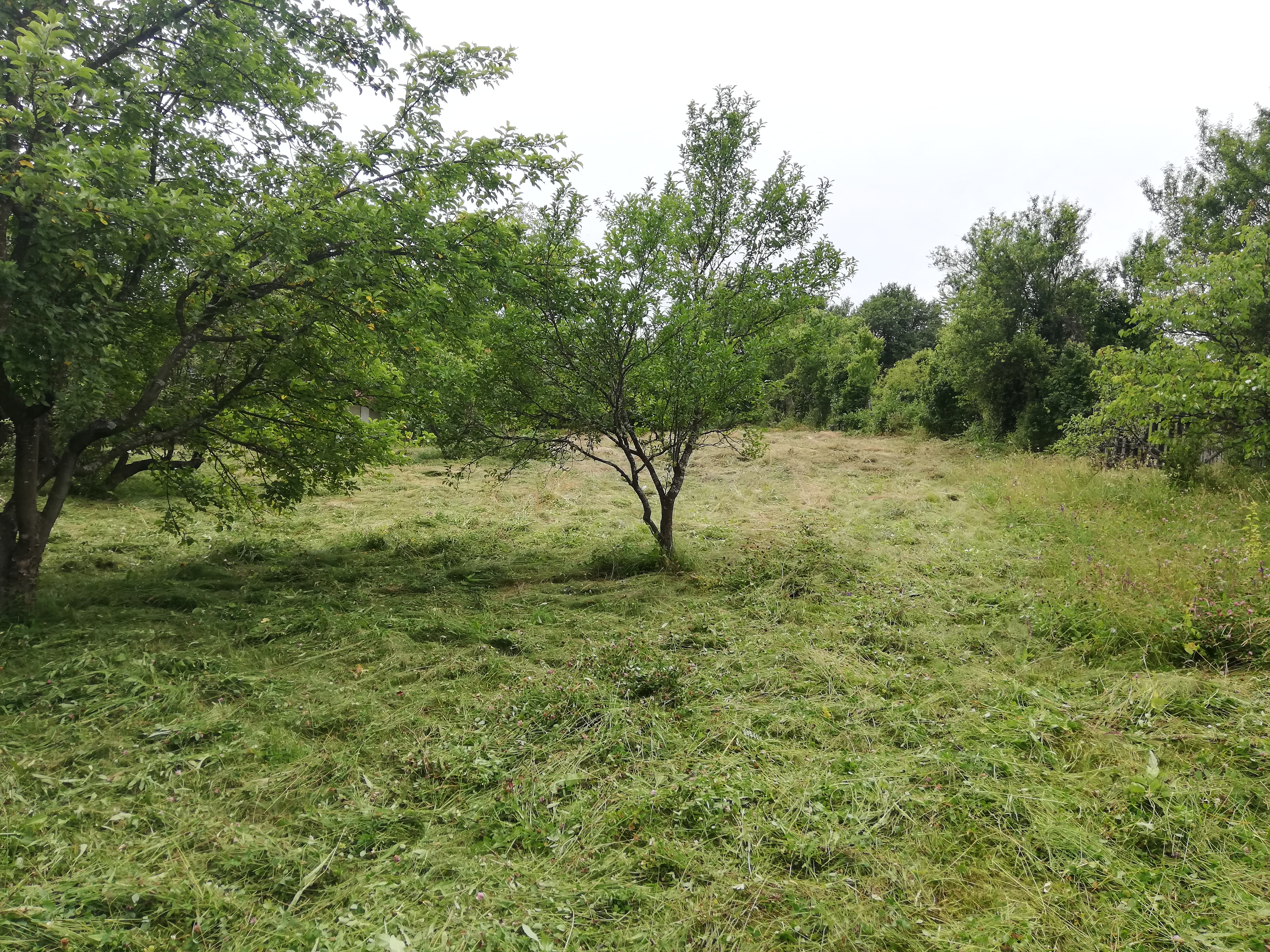 Продава Парцел в село Егълница, област Перник