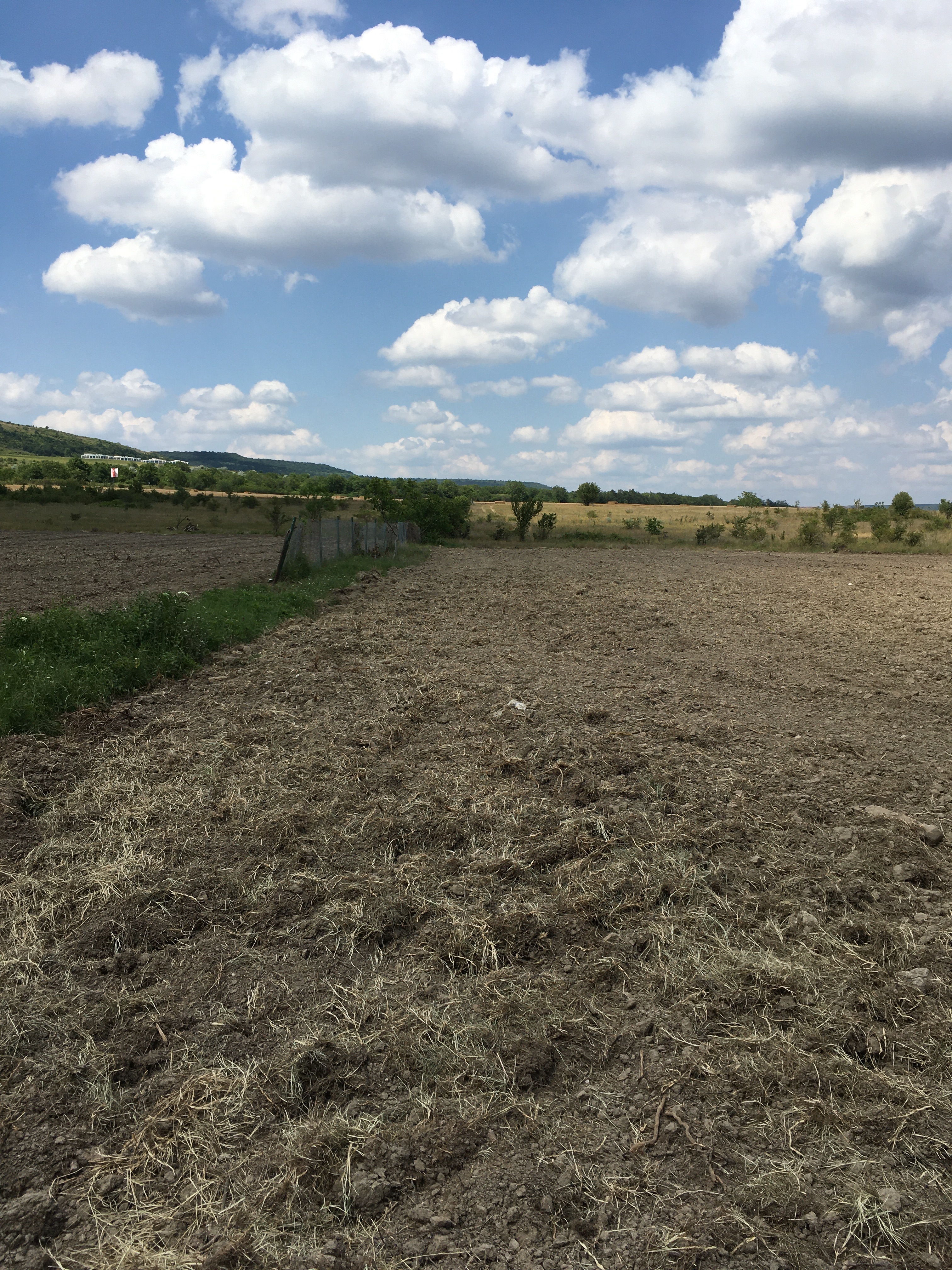 Продава Парцел в село Рогачево, обл. Балчик, местност Чалтика, област Добрич